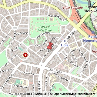 Mappa Via Collalto Sabino, 54, 00199 Roma, Roma (Lazio)