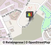 Consulenza Informatica,00131Roma