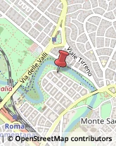 Via Valsolda, 143,00141Roma