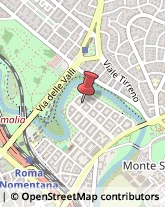 Via Valle Viola, 37,00141Roma