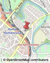 Via Capo Miseno, 21,00141Roma