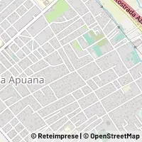Carte Forte dei Marmi