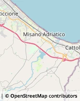 Rosticcerie e Salumerie Cattolica,47841Rimini