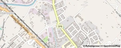 Mappa Pietrasanta