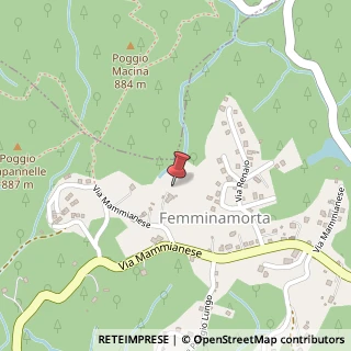 Mappa Via Mammianese, 565/b, 51010 Marliana, Pistoia (Toscana)