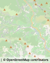 Aziende Agricole Chiusavecchia,18023Imperia