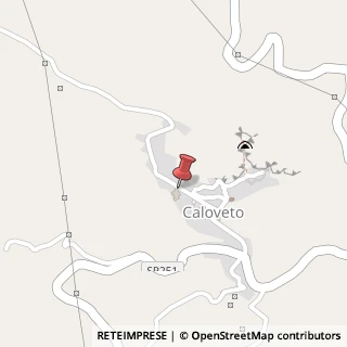 Mappa Via San Antonio, 5, 87060 Caloveto, Cosenza (Calabria)