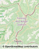 Corrieri Termeno sulla Strada del Vino,39040Bolzano