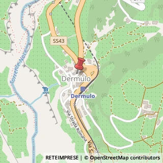 Mappa Via del borgo 2/a, 38010 Luson, Bolzano (Trentino-Alto Adige)
