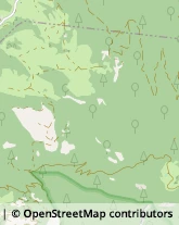 Frutta e Verdura - Dettaglio Monclassico,38027Trento