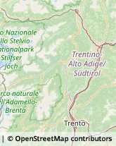 Frutta e Verdura - Dettaglio Pinzolo,38084Trento