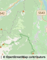 Frutta e Verdura - Dettaglio Caldes,38022Trento