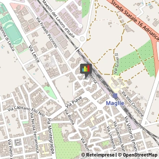 Palestre e Centri Fitness,73024Lecce
