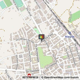 Chiropratica,73024Lecce