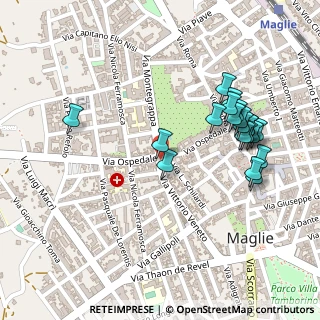 Mappa Via Ospedale, 73024 Maglie LE, Italia (0.2765)