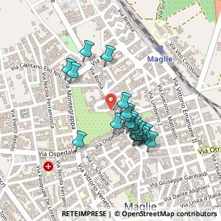 Mappa Piazza Madonna Grazie, 73024 Maglie LE, Italia (0.2045)