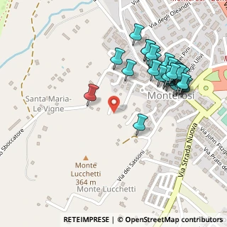 Mappa Via dei Villini Fabrizi, 01030 Monterosi VT, Italia (0.27931)