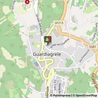 Consulenza di Direzione ed Organizzazione Aziendale Guardiagrele,66016Chieti