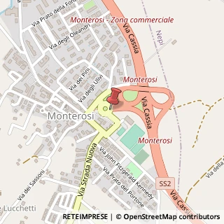Mappa Piazza Antonio Varisco, 01030 Monterosi VT, Italia, 01030 Monterosi, Viterbo (Lazio)
