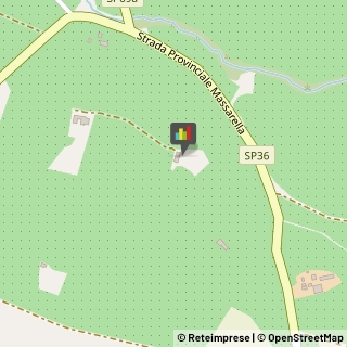 Feste - Organizzazione e Servizi,01037Viterbo