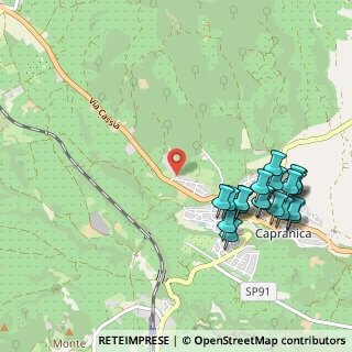 Mappa Viale delle Vigne, 01012 Capranica VT, Italia (1.227)