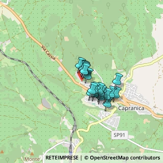 Mappa Viale delle Vigne, 01012 Capranica VT, Italia (0.553)