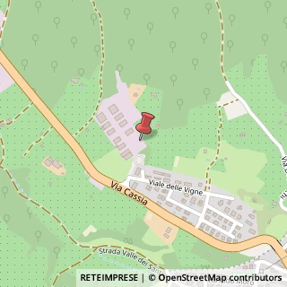 Mappa Viale dell'Artigianato, 15, 01012 Capranica, Viterbo (Lazio)