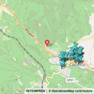 Mappa Viale dell'artigianato, 01012 Capranica VT, Italia (1.3485)