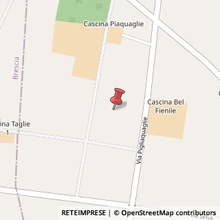 Mappa Via pigliaquaglie, 46043 Castiglione delle Stiviere, Mantova (Lombardia)