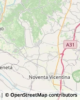 Trasporti Internazionali Montagnana,35044Padova