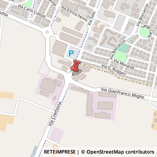 Mappa Via Cremona, 101, 25025 Manerbio, Brescia (Lombardia)