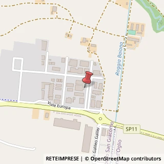 Mappa Via Giuseppe Pelizza da Volpedo, 9, 25022 Borgo San Giacomo, Brescia (Lombardia)