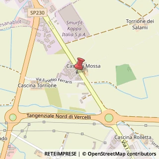 Mappa Via Leonardo Walter Manzone, 181, 13100 Vercelli, Vercelli (Piemonte)