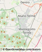 Frutta e Verdura - Dettaglio Abano Terme,35031Padova