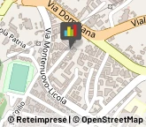 Palestre e Centri Fitness,80078Napoli