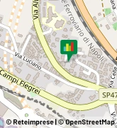 Traversa Pisano, 32,80078Pozzuoli