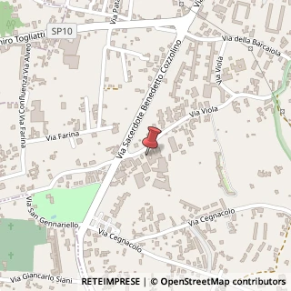 Mappa Via Viola, 29, 80056 Ercolano, Napoli (Campania)