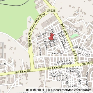 Mappa Via udine 49/b, 70022 Altamura, Bari (Puglia)