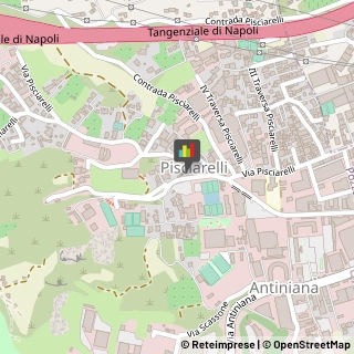 Animali Domestici - Vendita,80078Napoli