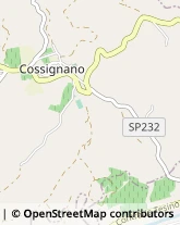 Cereali e Granaglie Cossignano,63067Ascoli Piceno