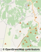 Aziende Agricole Roccastrada,58036Grosseto