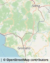 Aziende Agricole Grosseto,58100Grosseto