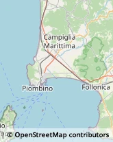 Agenti e Rappresentanti di Commercio Campiglia Marittima,57029Livorno