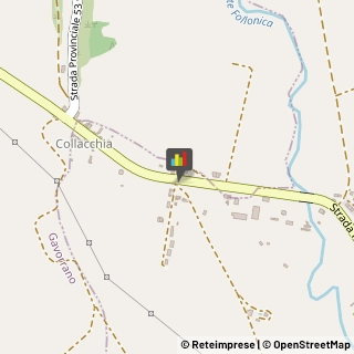 Aziende Agricole Roccastrada,58027Grosseto