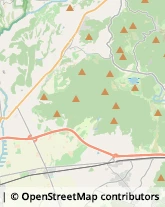 Imprese Edili Massa Marittima,58024Grosseto