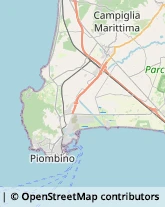 Autotrasporti Piombino,57025Livorno