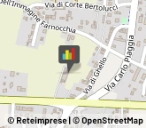 Società di Ingegneria Capannori,55012Lucca