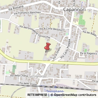 Mappa Via Domenico Chelini Roma, 49, 55012 Capannori, Lucca (Toscana)