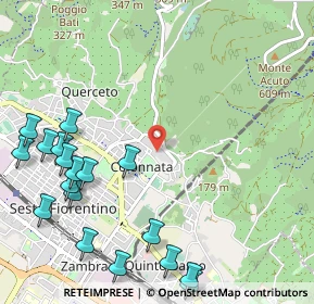 Mappa Viale della Cristallina, 50019 Sesto Fiorentino FI, Italia (1.45333)