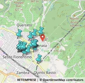 Mappa Viale della Cristallina, 50019 Sesto Fiorentino FI, Italia (0.906)